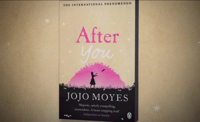 Book Review: After&nbsp;You