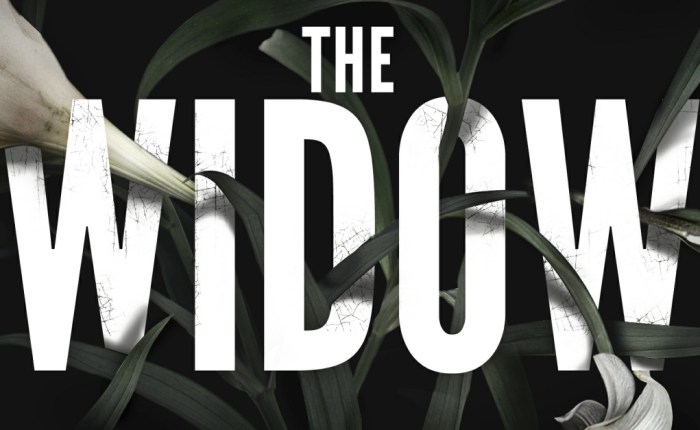 Book Review: The&nbsp;Widow